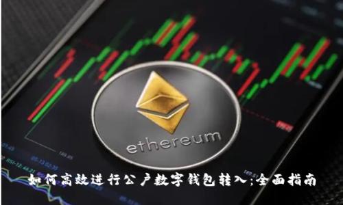 如何高效进行公户数字钱包转入：全面指南